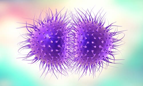 Vi khuẩn lậu Neisseria gonorrrhoea là gì? Cách điều trị vi khuẩn lậu
