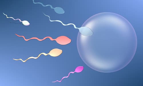 Tinh trùng ít có thụ thai, có con được không?